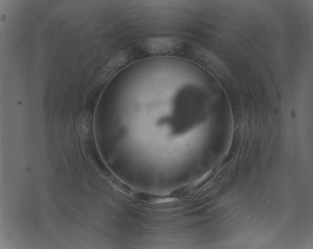 X0000071780277200606301228