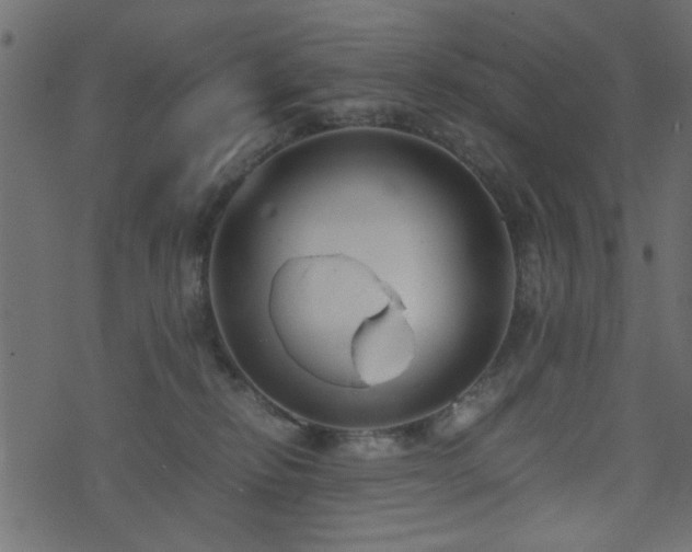 X0000071780278200606301228