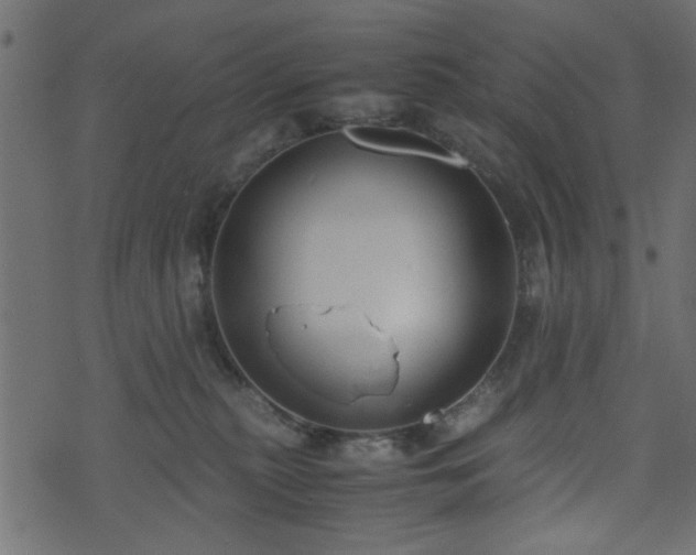 X0000071780279200606301228