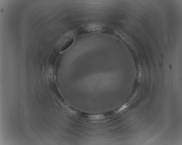 X0000071780281200606301228