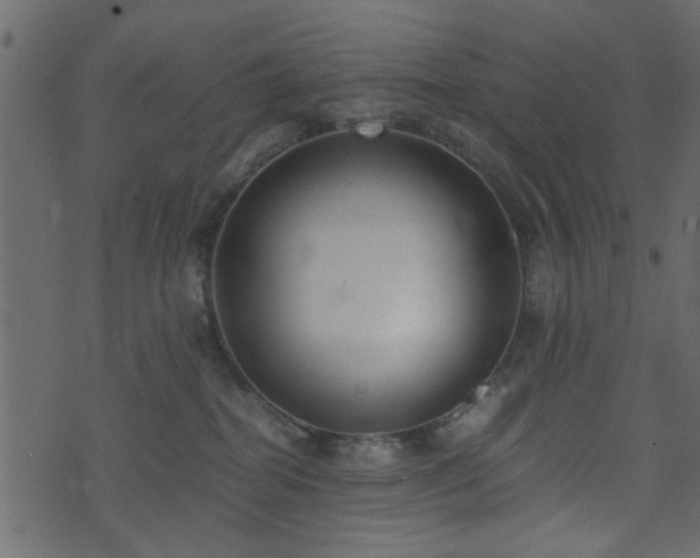 X0000071780282200606301228