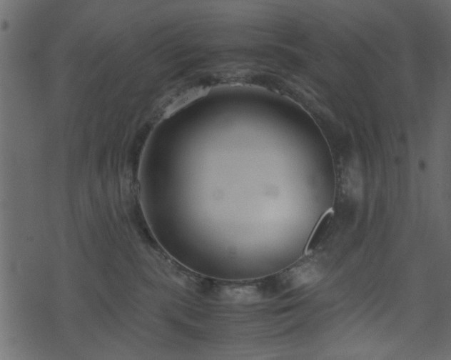 X0000071780283200606301228