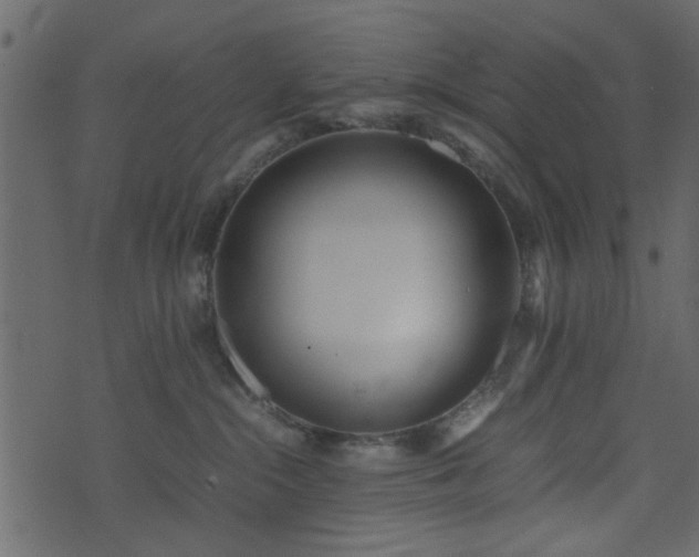 X0000071780284200606301228