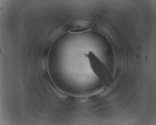 X0000071780285200606301228