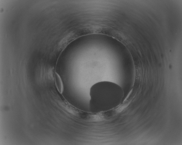 X0000071780286200606301228