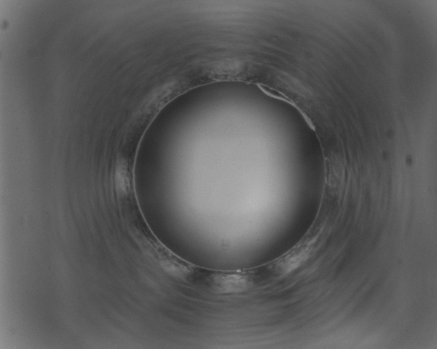 X0000071780287200606301228