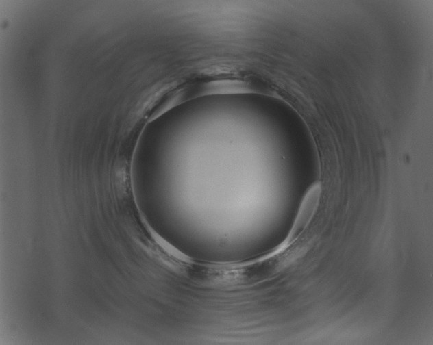 X0000071780288200606301228