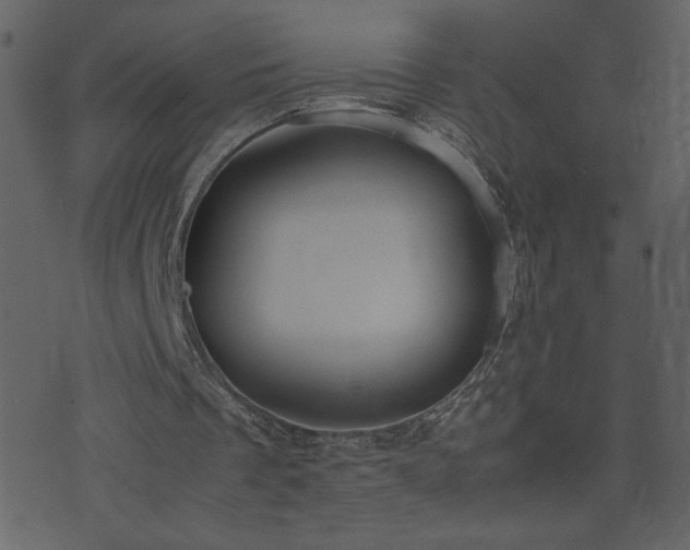 X0000071780289200606301227