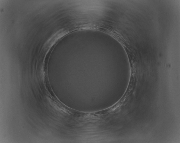 X0000071780290200606301227