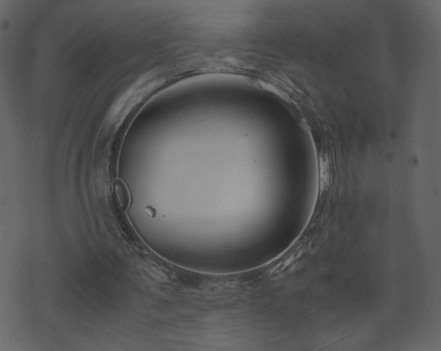 X0000071780291200606301227