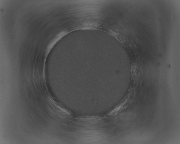 X0000071780292200606301227