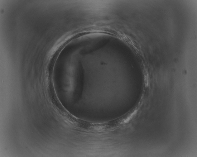 X0000071780295200606301227