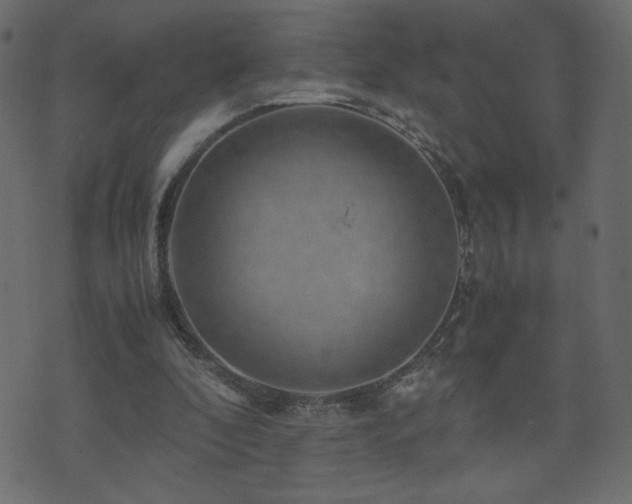 X0000071780296200606301227