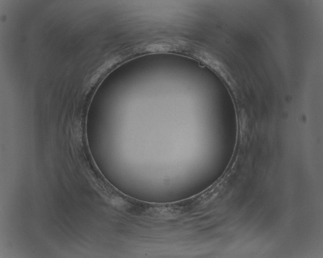 X0000071780297200606301227