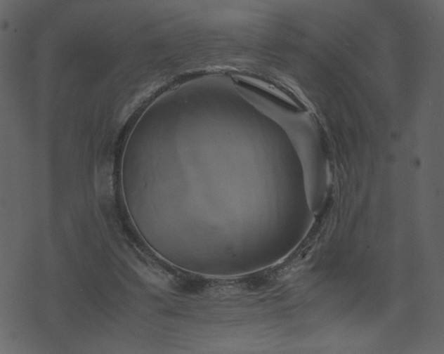 X0000071780299200606301227