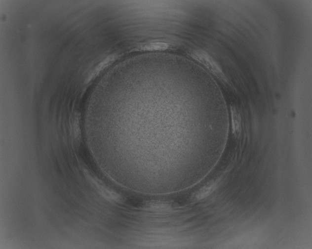 X0000071780300200606301227