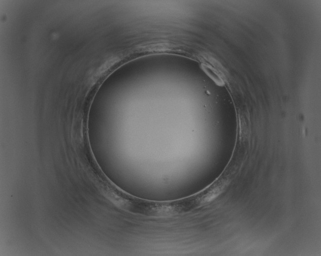 X0000071780301200606301227