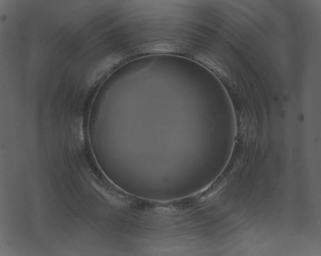 X0000071780302200606301227