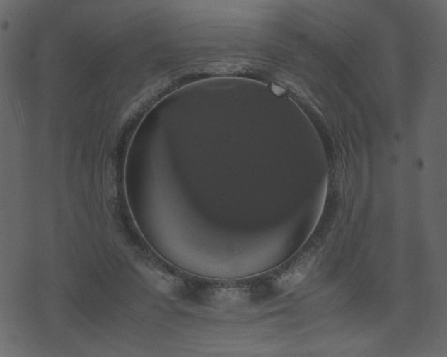 X0000071780303200606301227