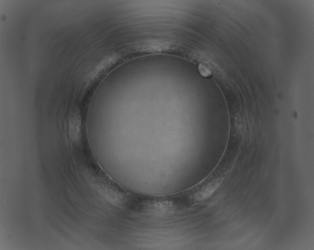 X0000071780304200606301227