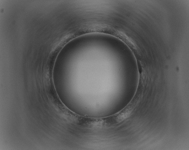 X0000071780306200606301227