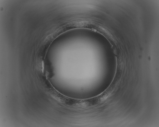 X0000071780307200606301227