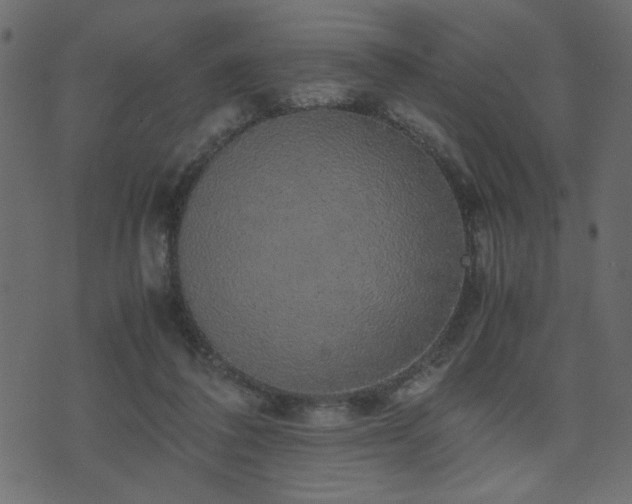 X0000071780308200606301227