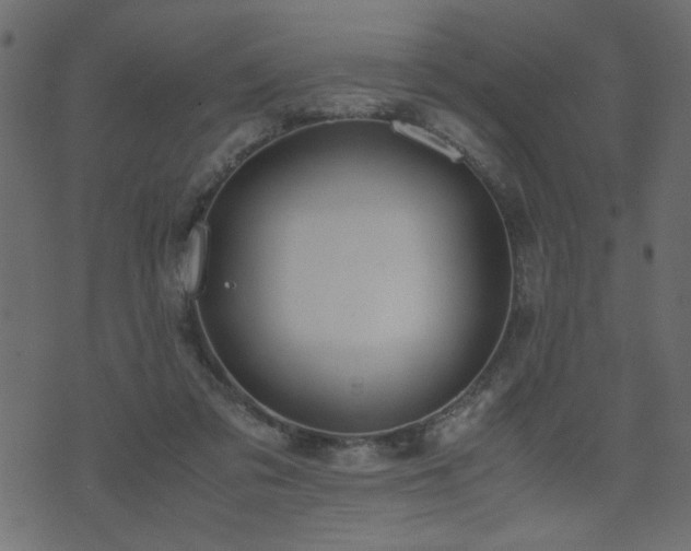 X0000071780309200606301227