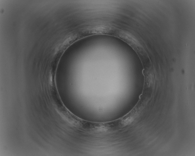 X0000071780310200606301227