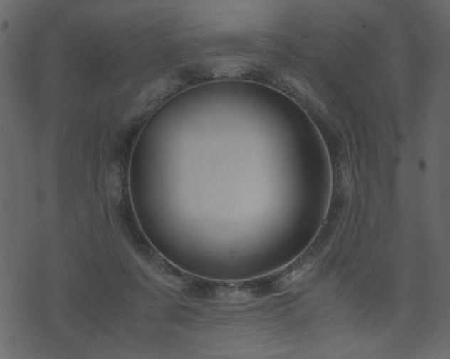 X0000071780311200606301227