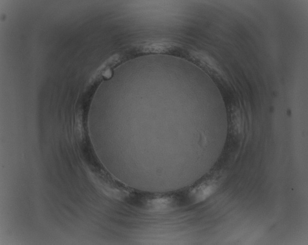 X0000071780312200606301227