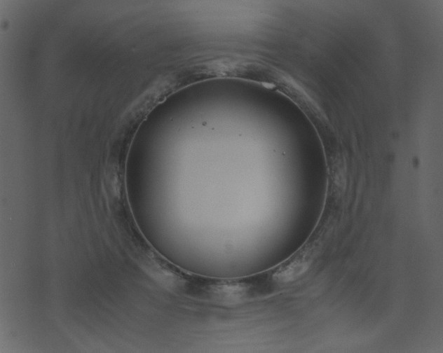 X0000071780313200606301227