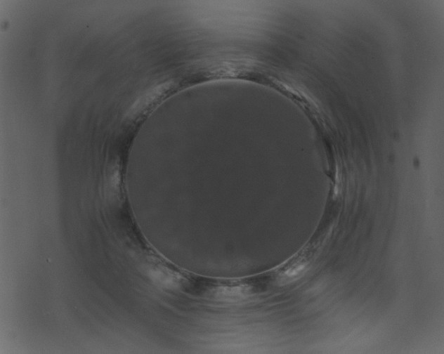 X0000071780314200606301227