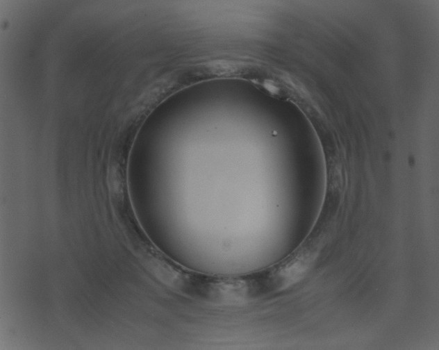 X0000071780317200606301227