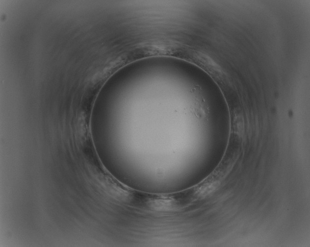 X0000071780318200606301227