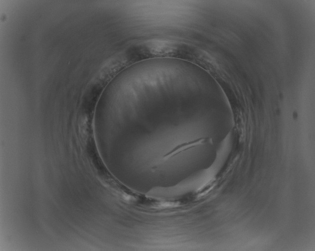 X0000071780319200606301227