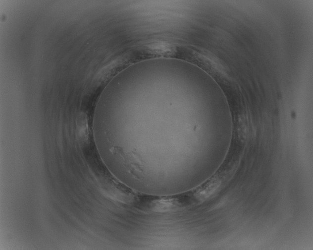 X0000071780320200606301226