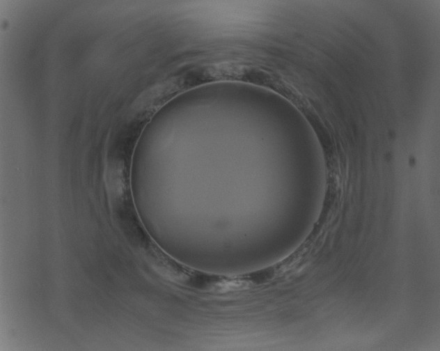 X0000071780323200606301226