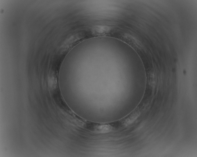 X0000071780324200606301226