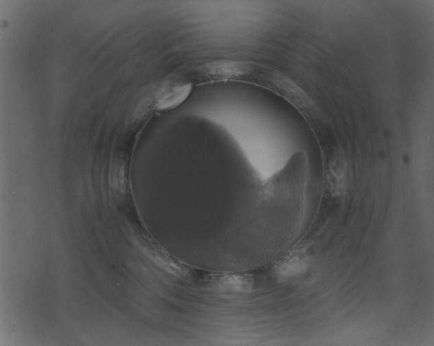 X0000071780330200606301226