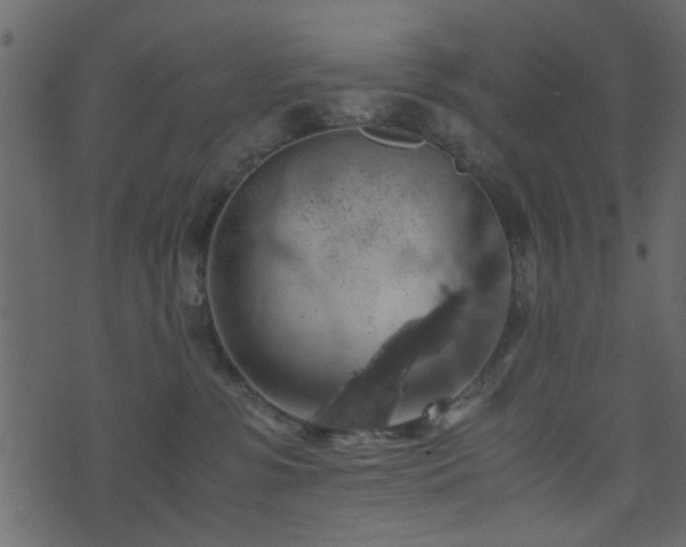 X0000071780331200606301226