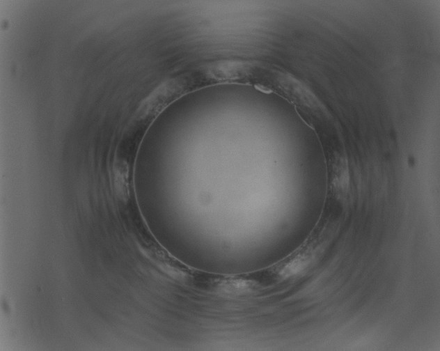 X0000071780332200606301226