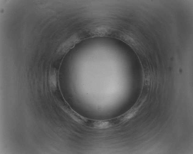 X0000071780334200606301226