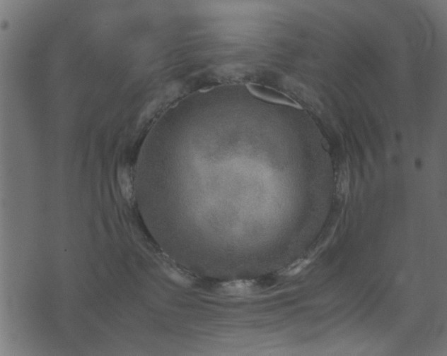 X0000071780335200606301226