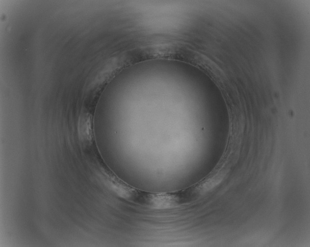 X0000071780336200606301226