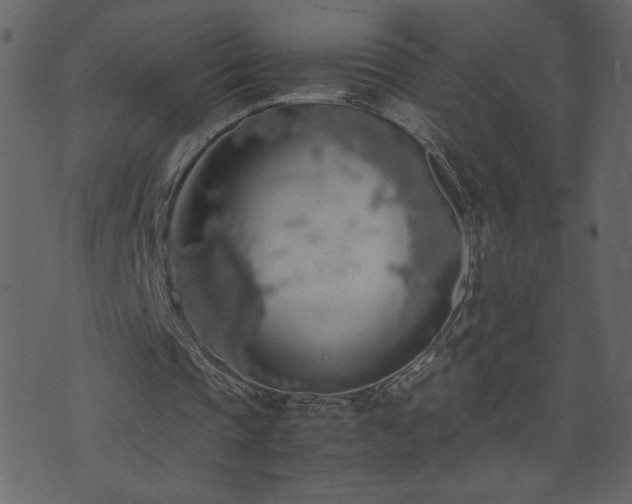 X0000071780337200606301225