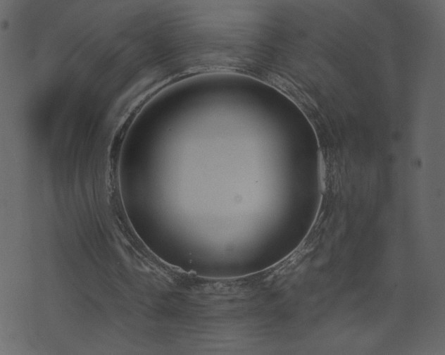 X0000071780338200606301225