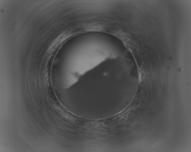 X0000071780339200606301225