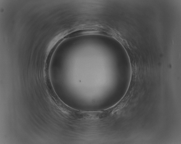 X0000071780340200606301225