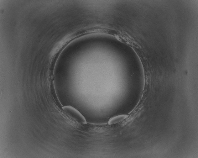 X0000071780341200606301226